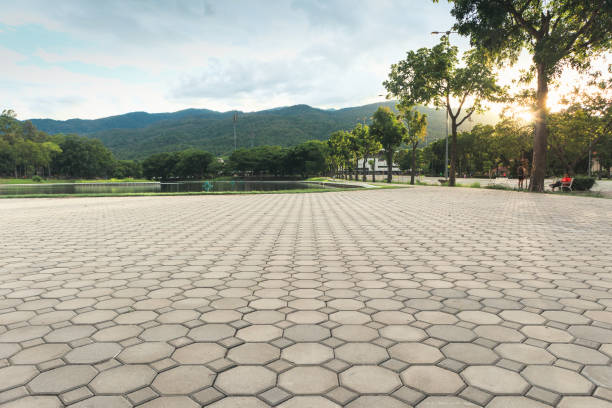 Best Driveway Pavers Near Me  in Mauston, WI